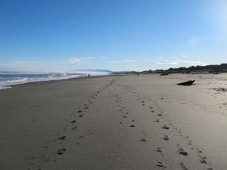 Shining Star Beachfront Accommodation Hokitika Zewnętrze zdjęcie